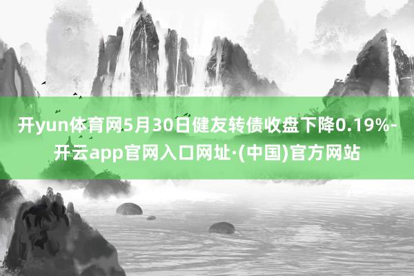 开yun体育网5月30日健友转债收盘下降0.19%-开云app官网入口网址·(中国)官方网站
