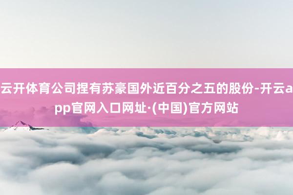 云开体育公司捏有苏豪国外近百分之五的股份-开云app官网入口网址·(中国)官方网站